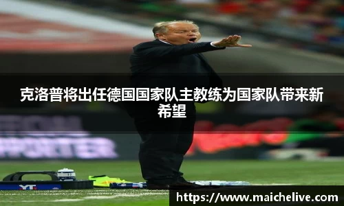 DG视讯官网