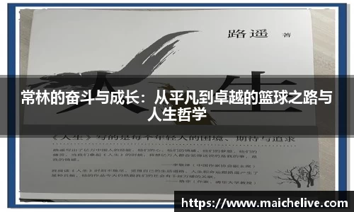 DG视讯
